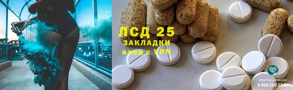 PSILOCYBIN Богданович