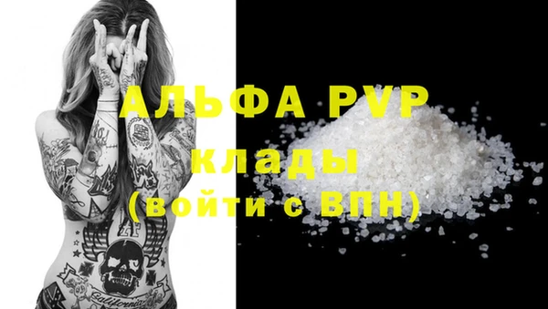 гидра Богородск