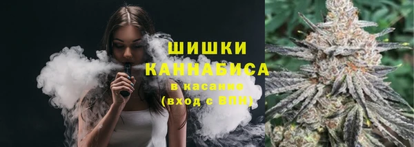 гидра Богородск