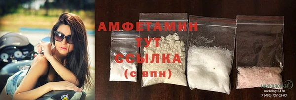 гидра Богородск