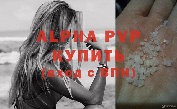 гидра Богородск