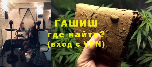 гидра Богородск