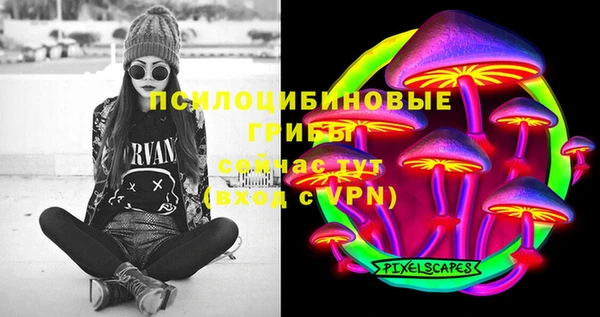 гидра Богородск