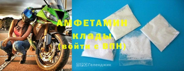 PSILOCYBIN Богданович
