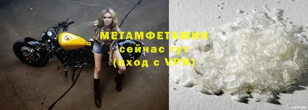гидра Богородск