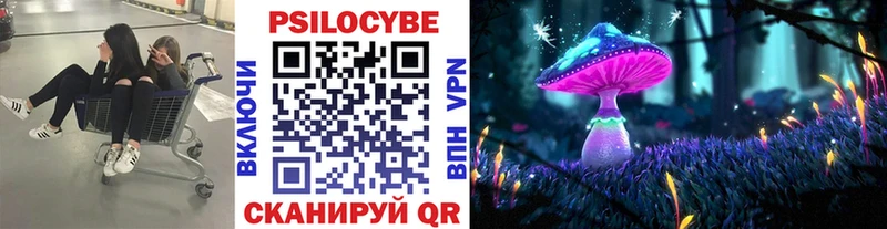 Псилоцибиновые грибы прущие грибы  это состав  Клинцы 